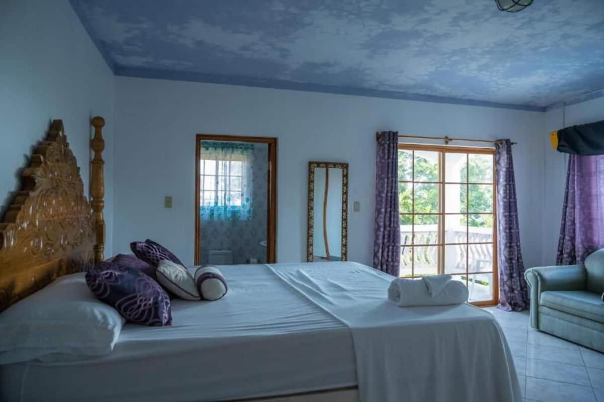 Sweetsop Jamaica Villa And Tours Montego Bay Zewnętrze zdjęcie