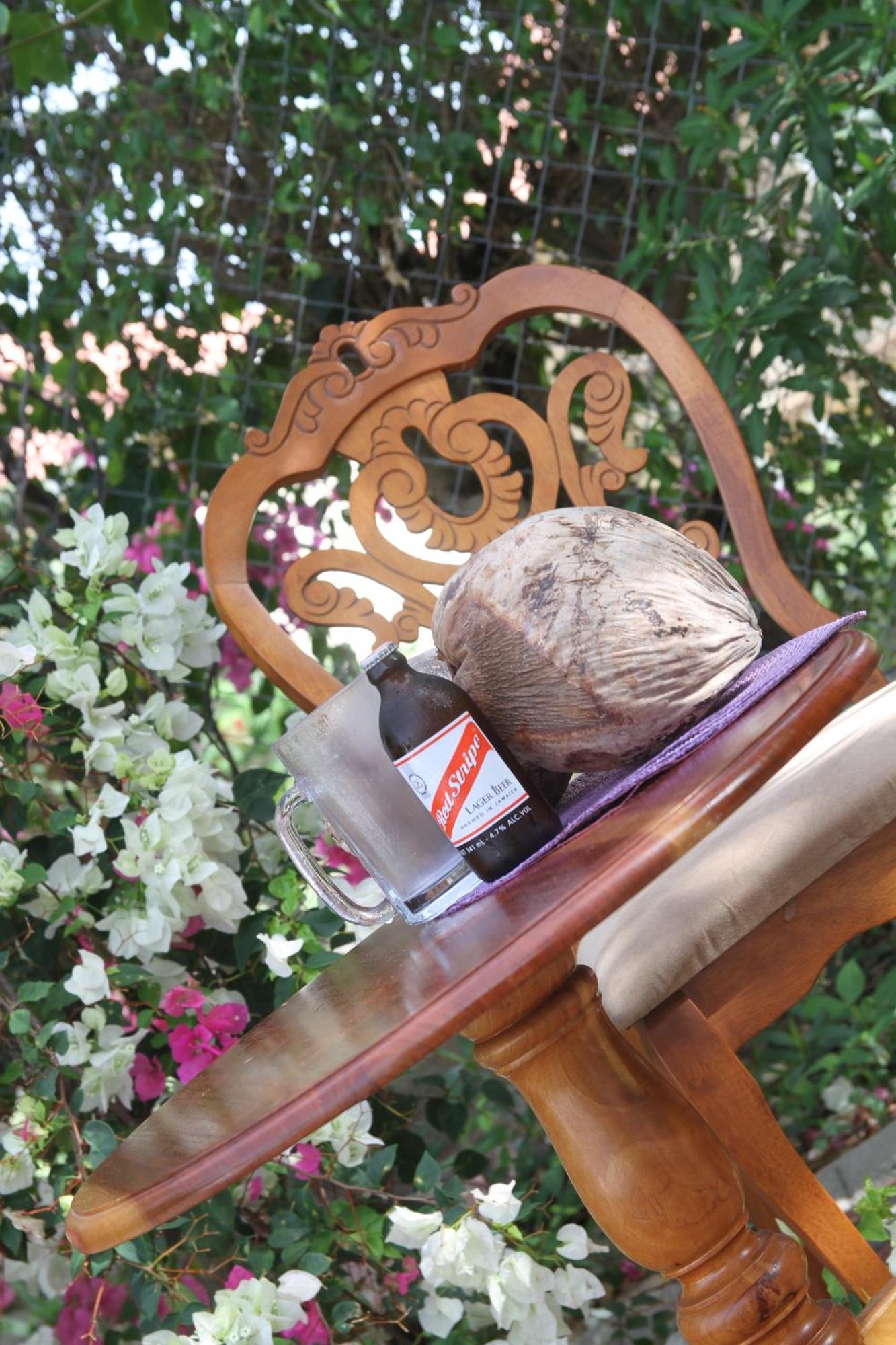 Sweetsop Jamaica Villa And Tours Montego Bay Zewnętrze zdjęcie